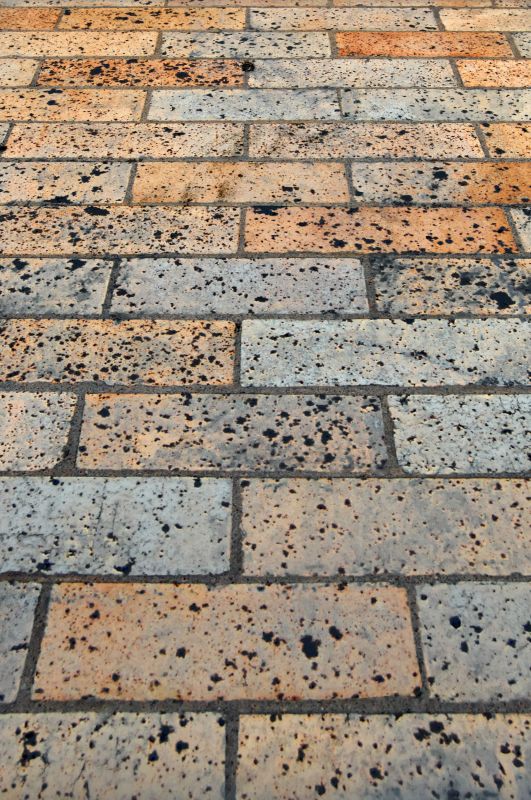 Brick Flatwork Repair in Lake Mary, FL