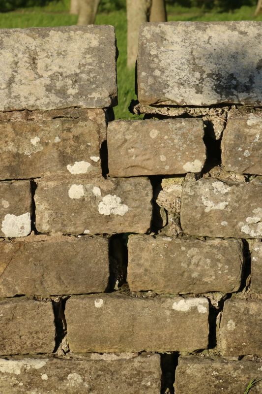 Rock Wall Repair in Oviedo, FL